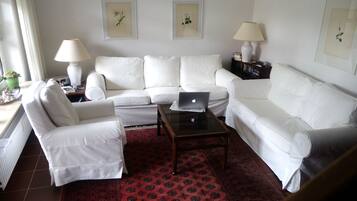 TV, DVD player, books, music library