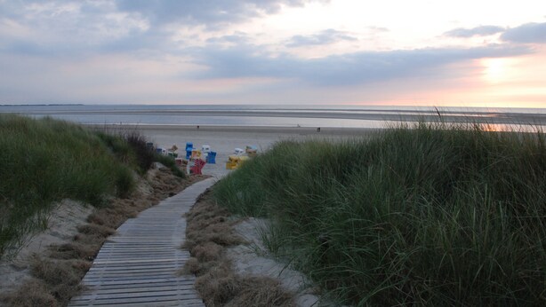 Een houten looppad dat naar een strand leidt, met zand en gras aan weerszijden.