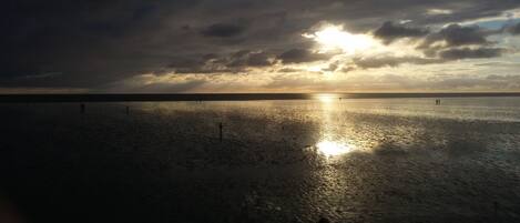 海灘