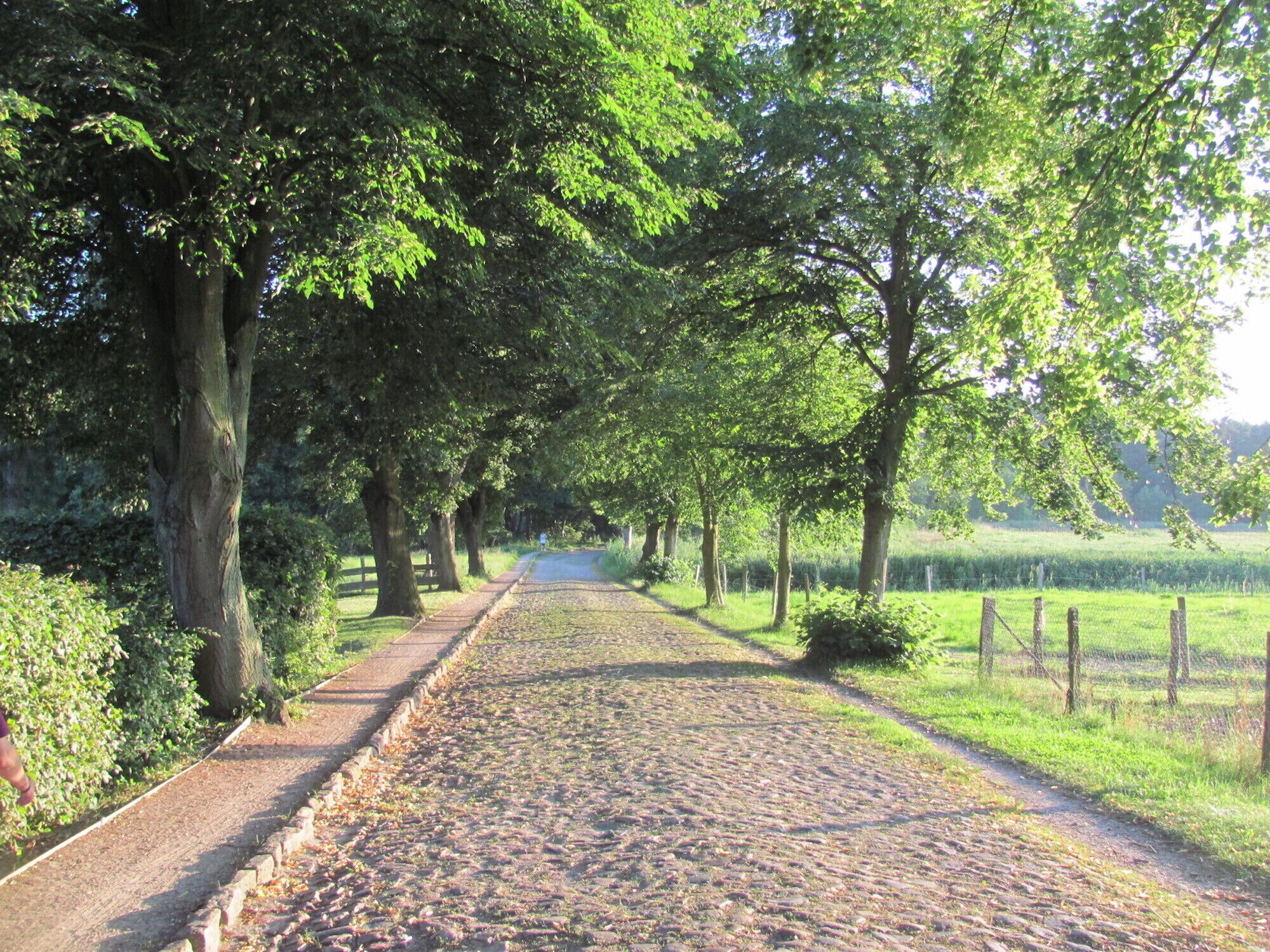Landweg nach Dörgelin