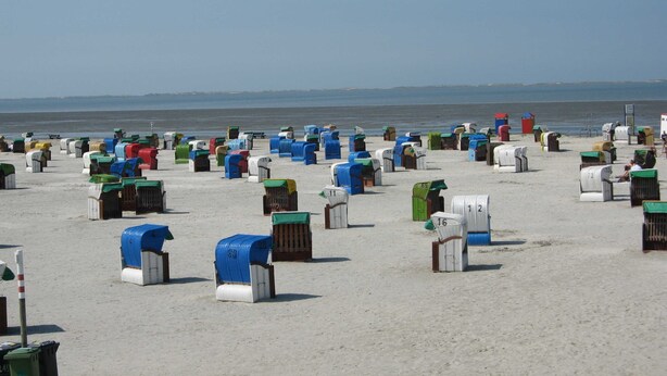 A beach with numerous mailboxes scattered across the sand.