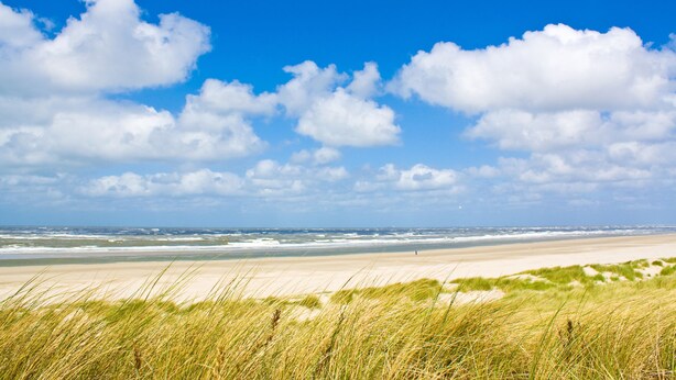 Een strand met duinen en een heldere blauwe lucht.