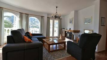 TV, fireplace, books