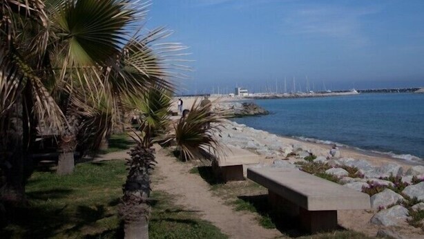 A coastal walkway with palm trees, benches, and a view of the sea and wind turbines in the distance.