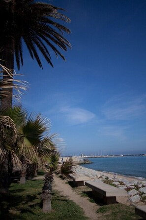 Une promenade en bord de mer, bordée de palmiers et de bancs, d’où l’on peut admirer la mer et les éoliennes qui se dressent au loin.