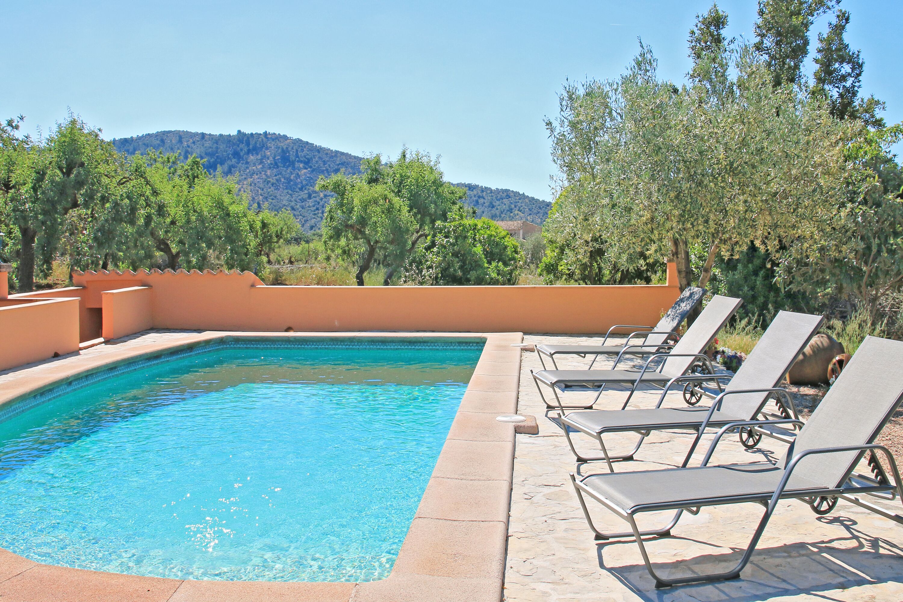 Ein rechteckiger Pool mit klarem, blauem Wasser, umgeben von Liegestühlen und einer Stegterrasse.