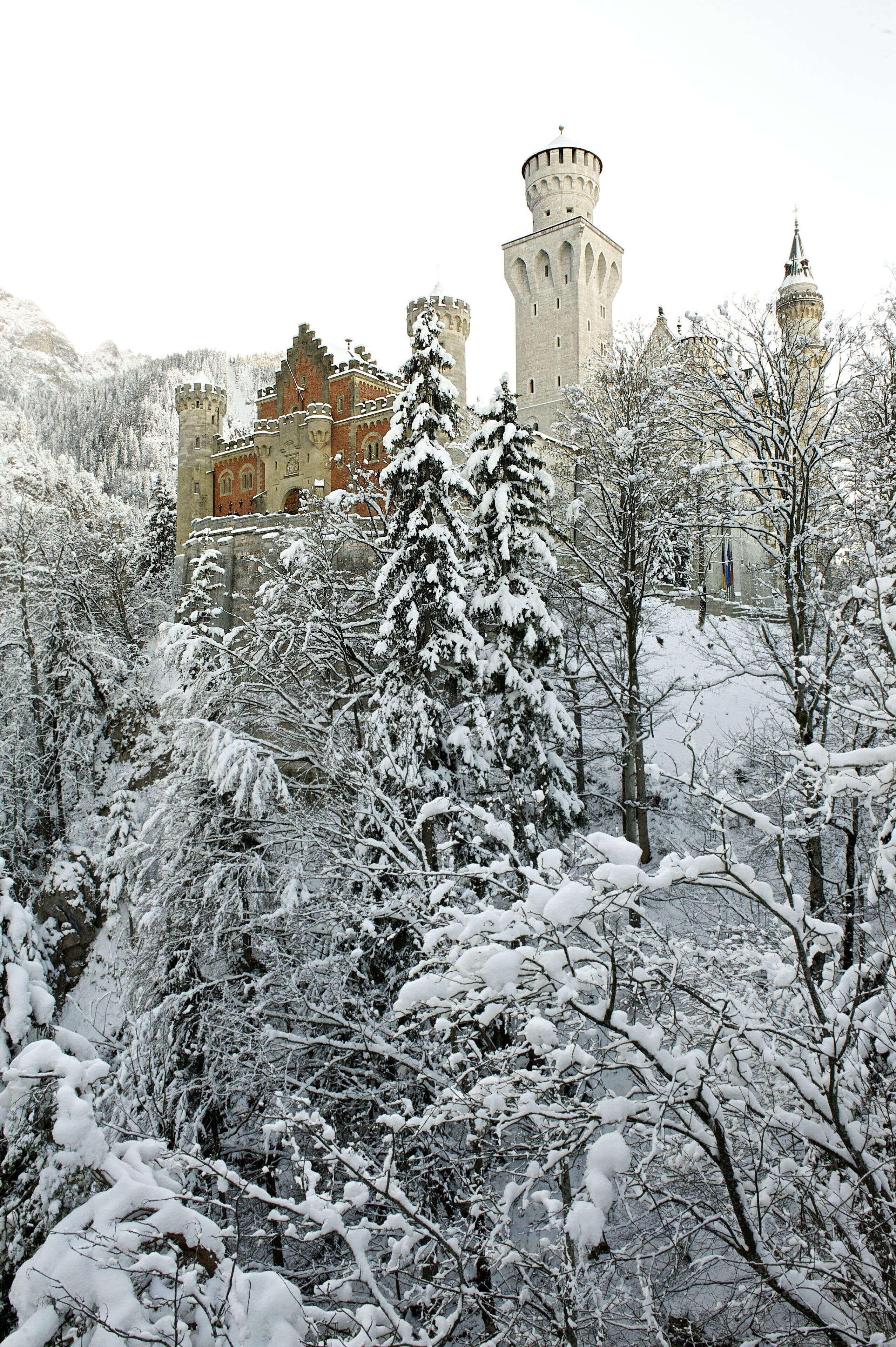 A historic castle with multiple towers, surrounded by snow-covered trees.