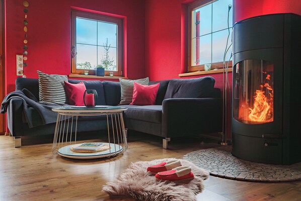 TV, fireplace, DVD player, books