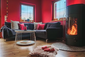 Televisión, chimenea, reproductor de DVD, libros