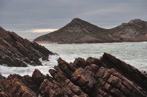 Beach nearby, sun-loungers