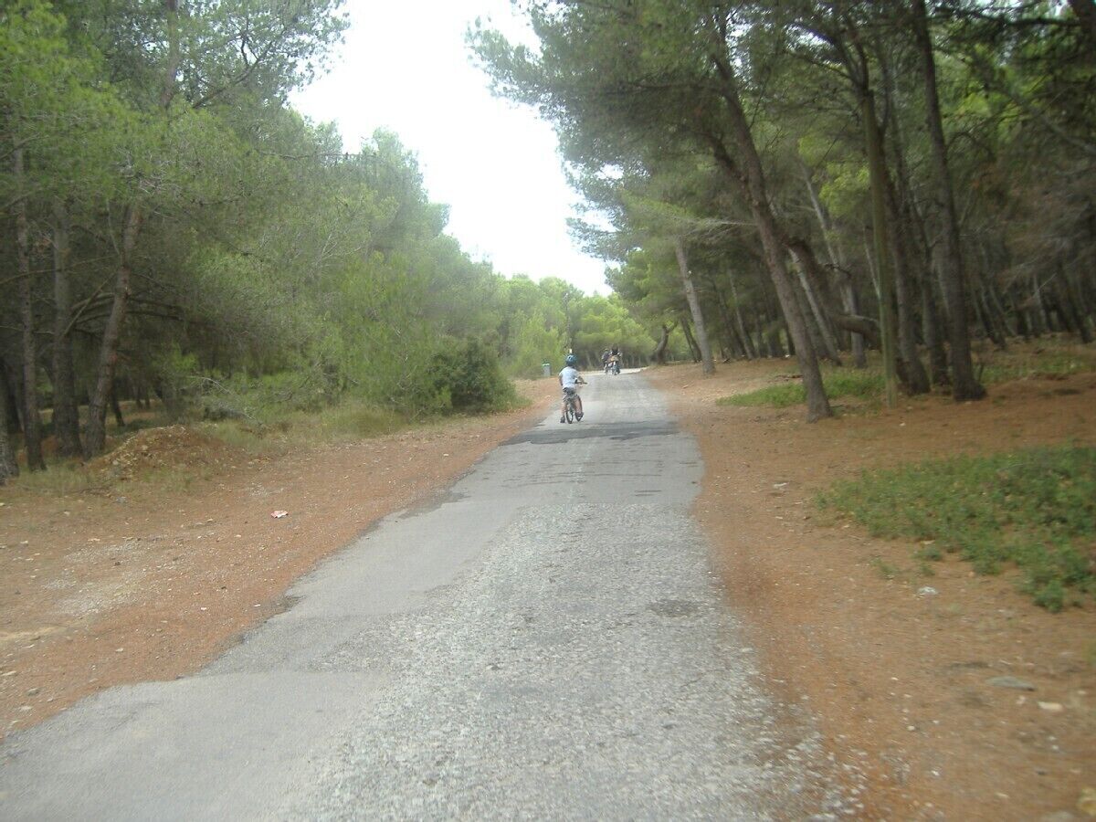 Une route asphaltée bordée d’arbres, qui s’étend vers l’horizon.