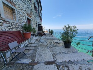 Terras