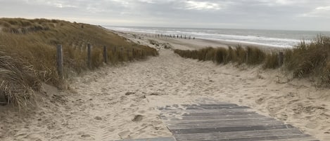 海灘