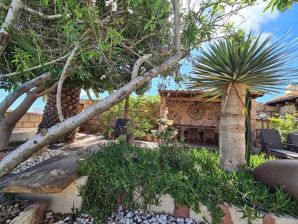 A rustic outdoor area with a stone wall, a palm tree, and a wooden deck.