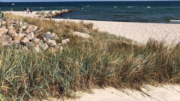 Een strand met een rotsenrijke zeedijk, een zandstrand en grasduinen.