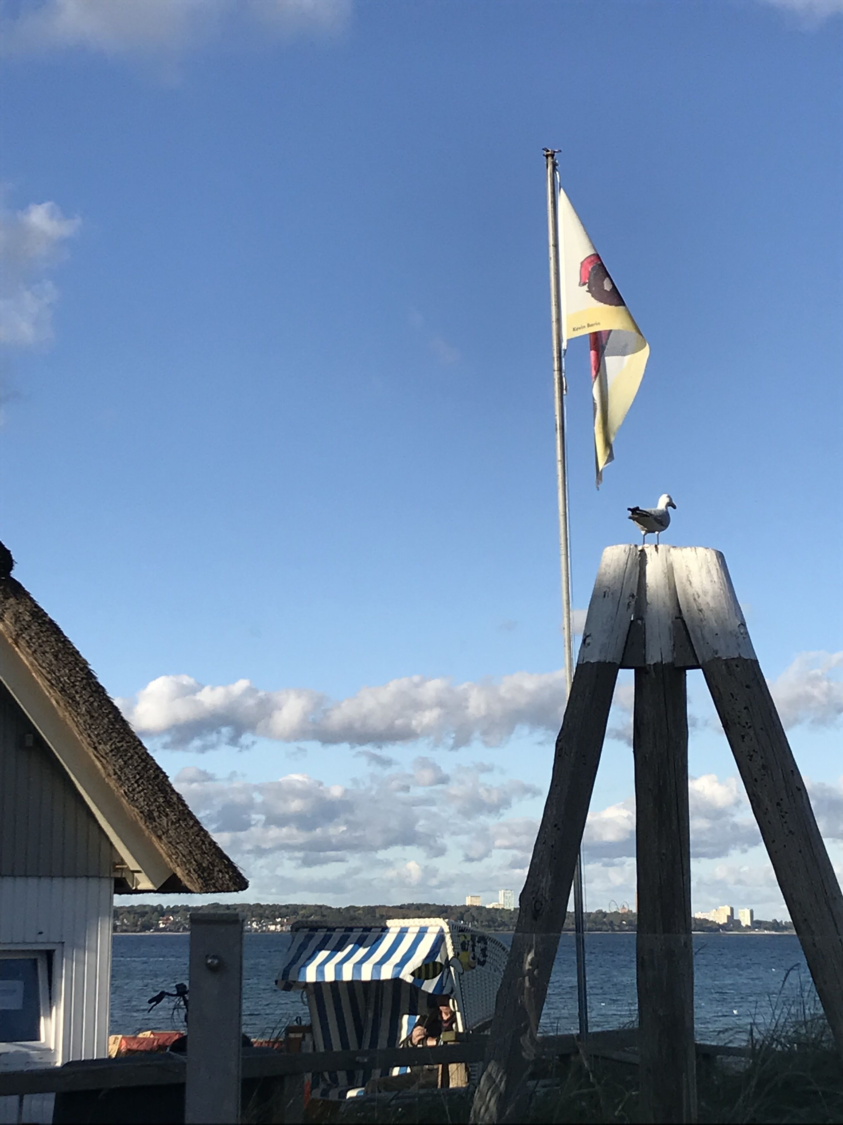 A seagull perched on a flagpole with a striped beach umbrella and a wooden structure in the foreground.