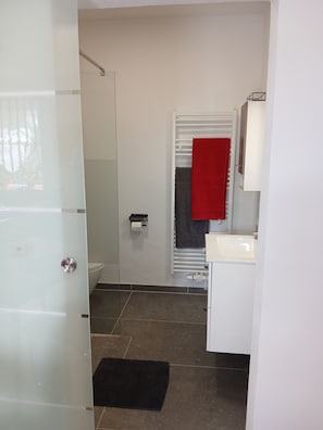 Dusche, Haartrockner, Handtücher, Seife