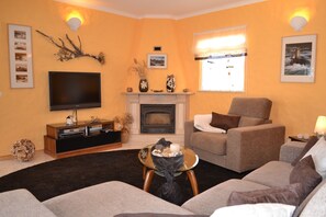 智能电视、壁炉、DVD 播放器、办公室