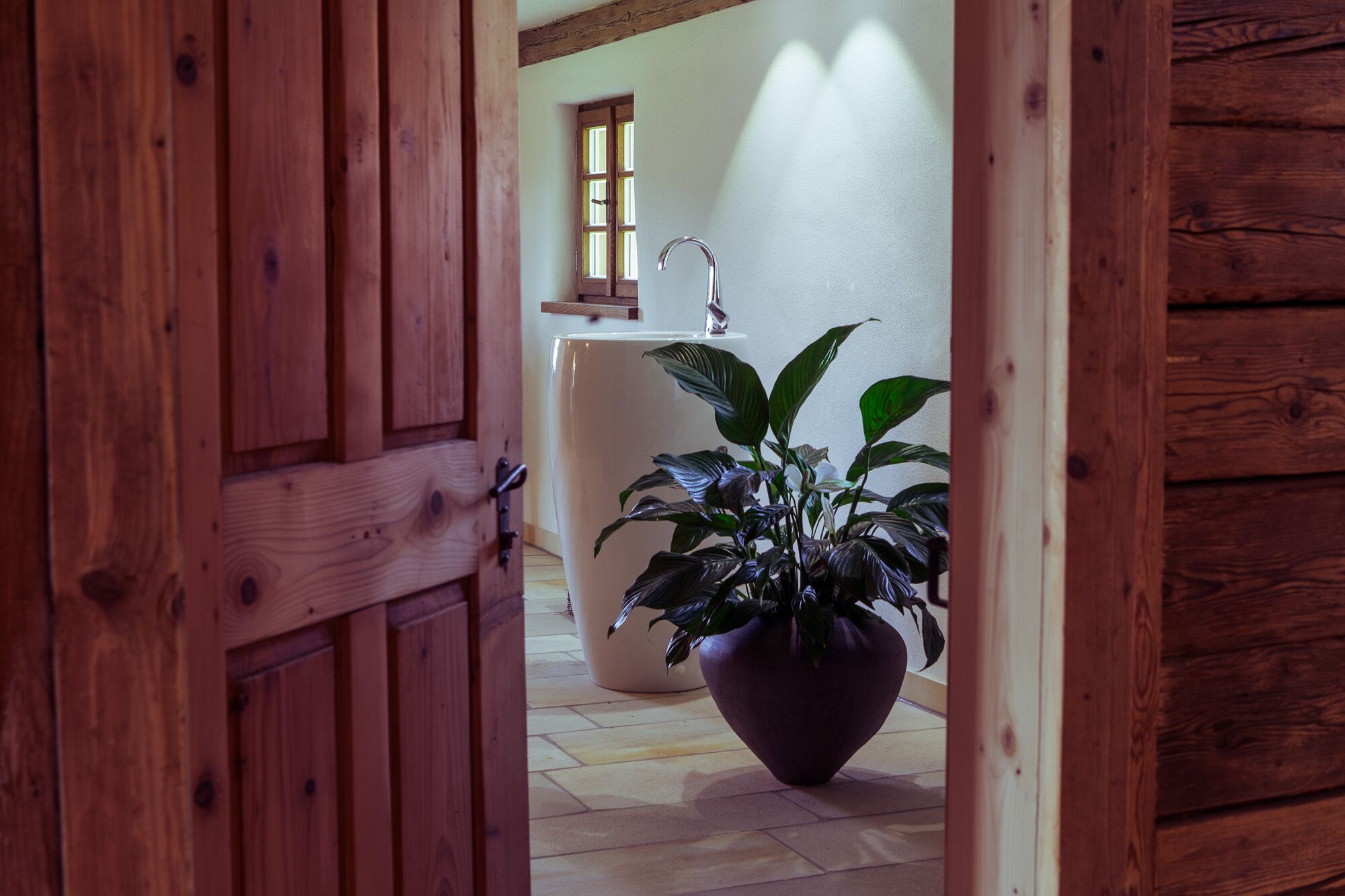 A wooden door leading to a bathroom with a white sink, a window, and a large potted plant.
