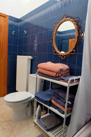 Hair dryer, towels, soap, toilet paper