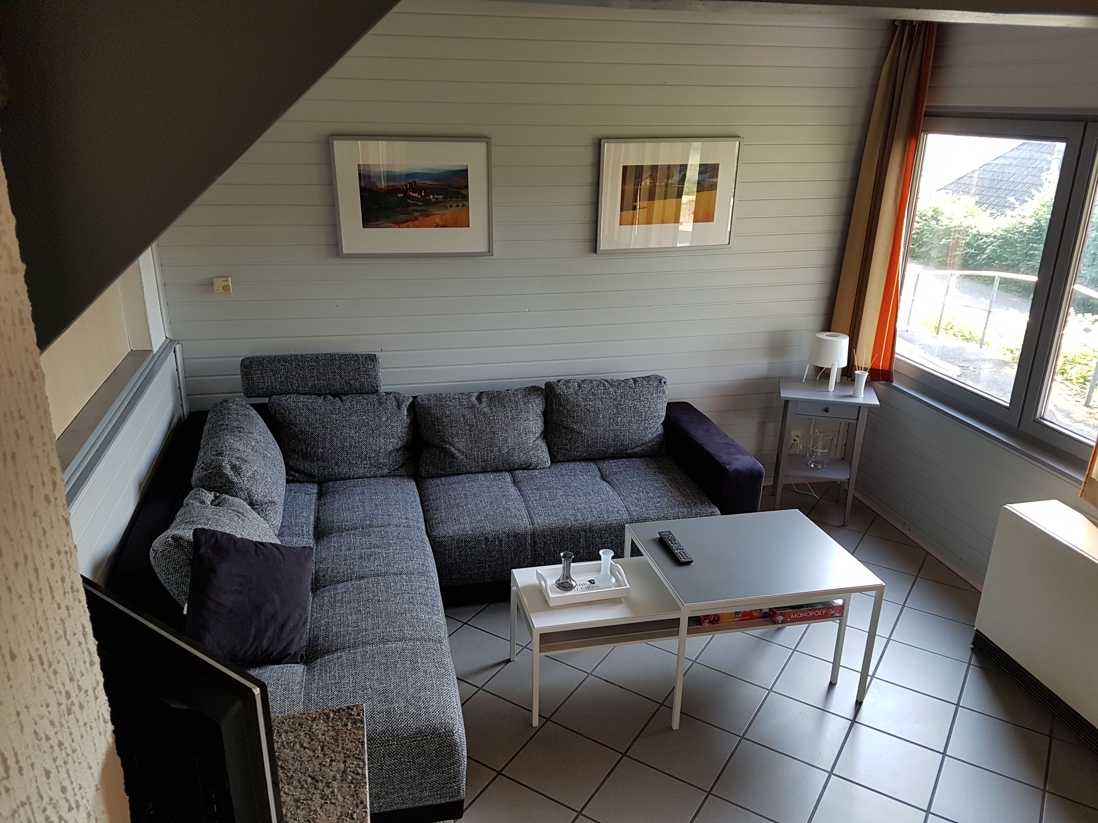 TV, fireplace, DVD player