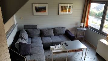 TV, fireplace, DVD player