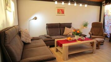 Televisión, reproductor de DVD y libros