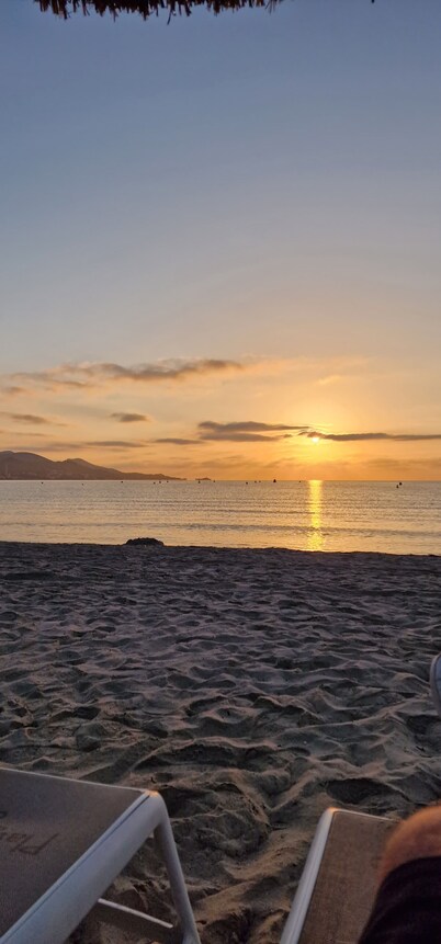 Apartment for 2 people with a large west-facing terrace and a view of the dune