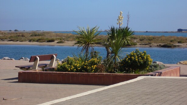 A bench and a planter with plants by a body of water. - Very nice vacation home, top location, only 50 m to the beach, close to the harbor. 6 persons (Gruissan)
