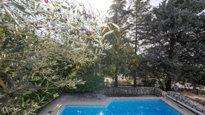 Una piscina rodeada de olivos y un muro de piedra.