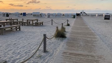 Playa en los alrededores y camastros