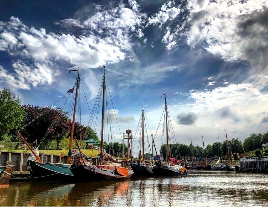 Un port de plaisance où sont amarrés plusieurs bateaux, un ciel dégagé et une végétation luxuriante en arrière-plan.