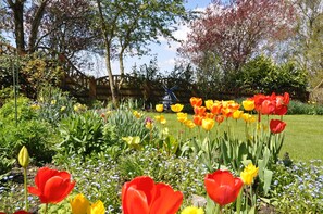 Unclassified image, 4 of 24, button