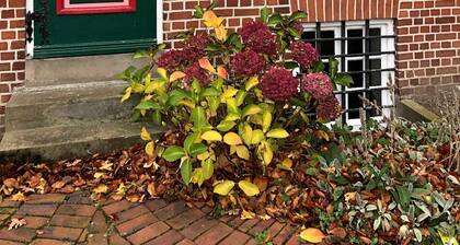 Double room Altes Land - Altländer Obsthof