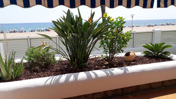 A balcony with a view of a beach, featuring various plants and a decorative pot.
