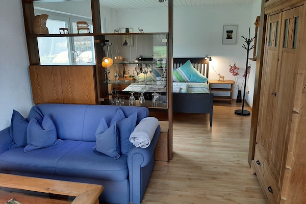 Blick ins gemütliche Studio mit Raumteiler zwischen Sofa-TV-Ecke und großem Bett