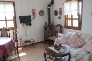 TV, fireplace, books, stereo