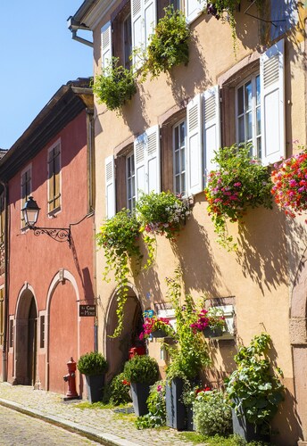 Romantische Ferienwohnung auf der elsäßischen Weinstraße