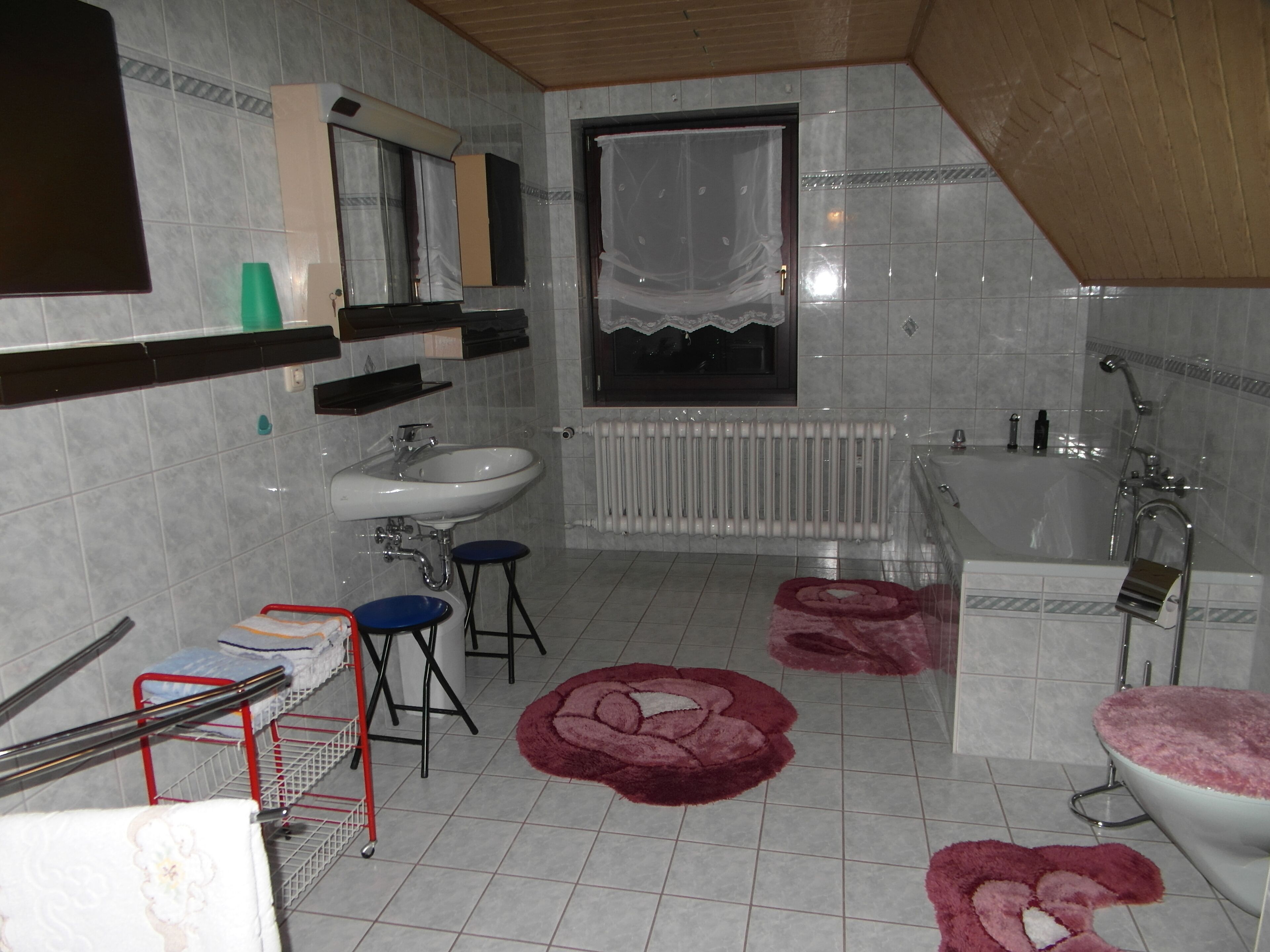 Apartment for skiers, nature lovers and railway enthusiasts<br>