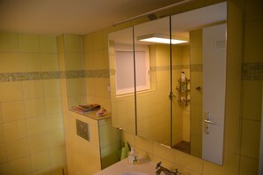 Shower, hair dryer, soap, toilet paper