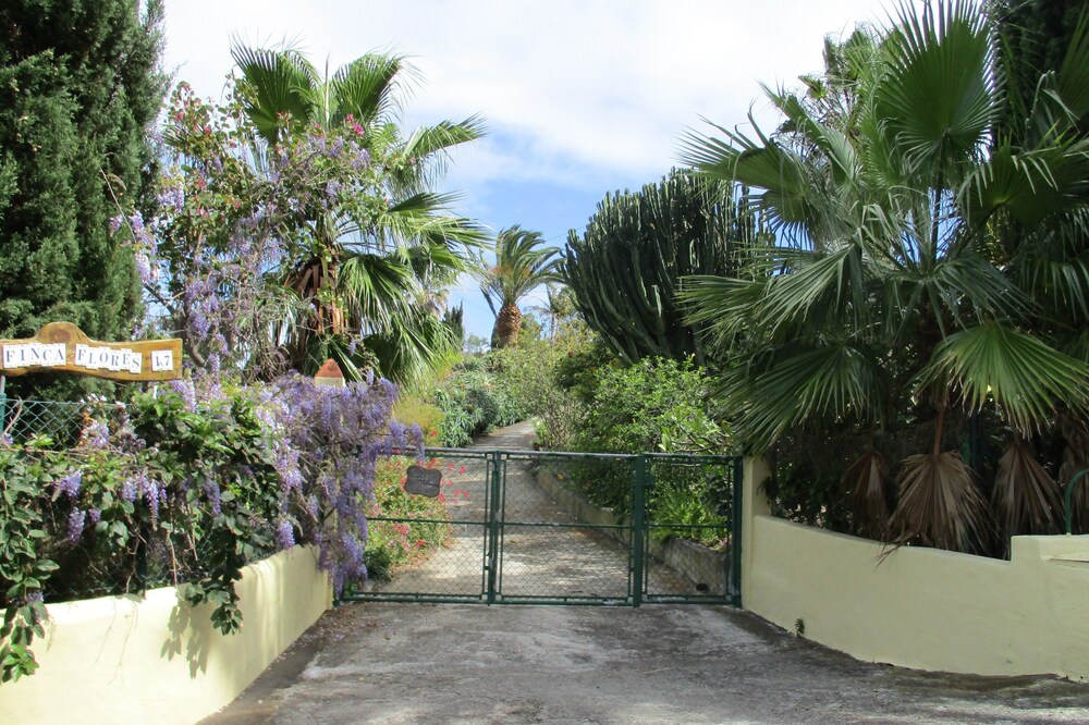 Typical Canary Cottage - Relaxation in the Botanical Garden