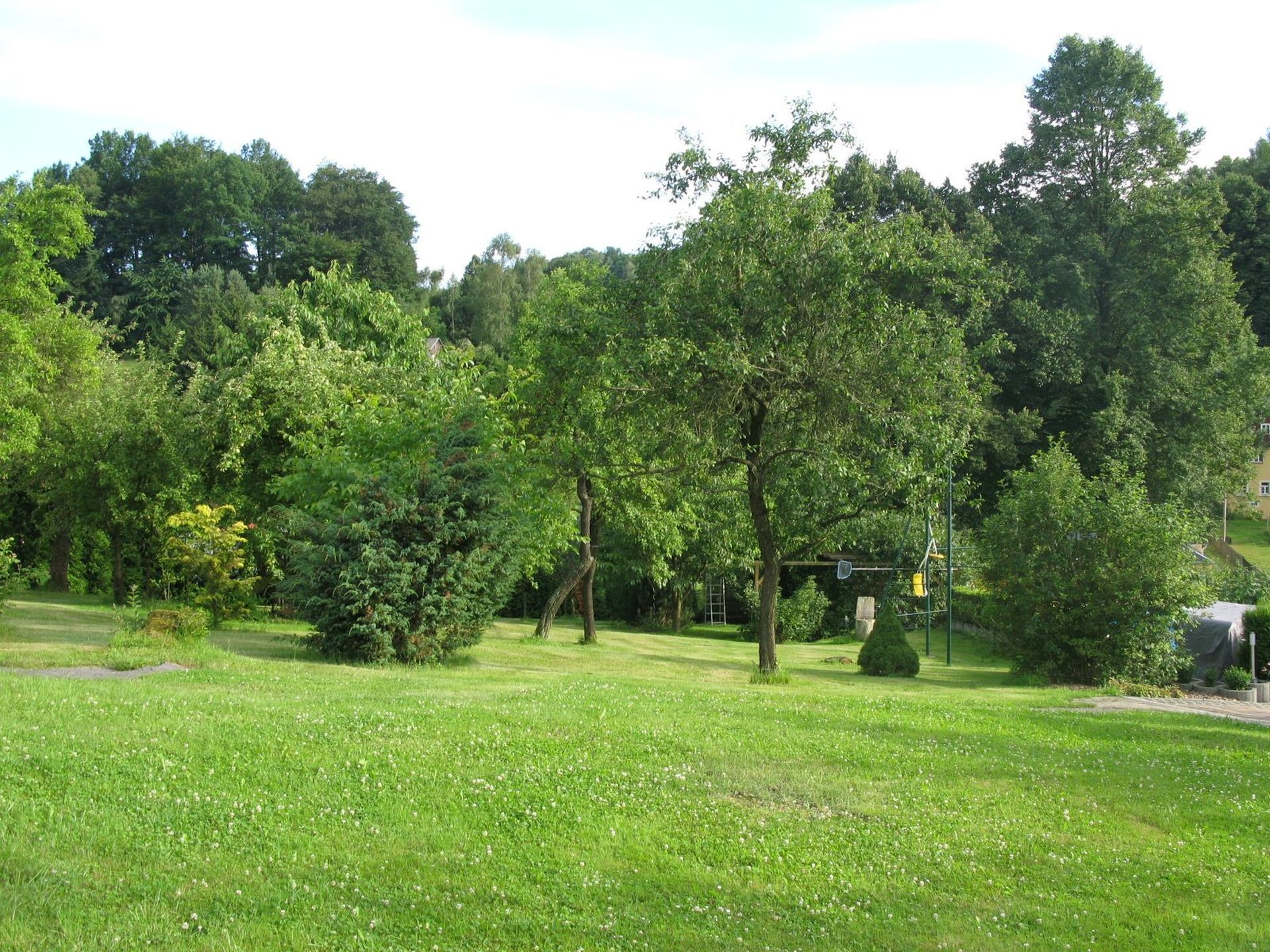 A grassy park area with trees and a playground.