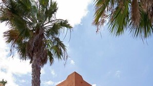Un bâtiment doté d’un toit plat et de fenêtres en arc de cercle, entouré de palmiers et d’autres plantes.