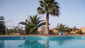 Une piscine à l’eau d’un bleu cristallin, entourée de palmiers et avec quelques bâtiments visibles au loin.