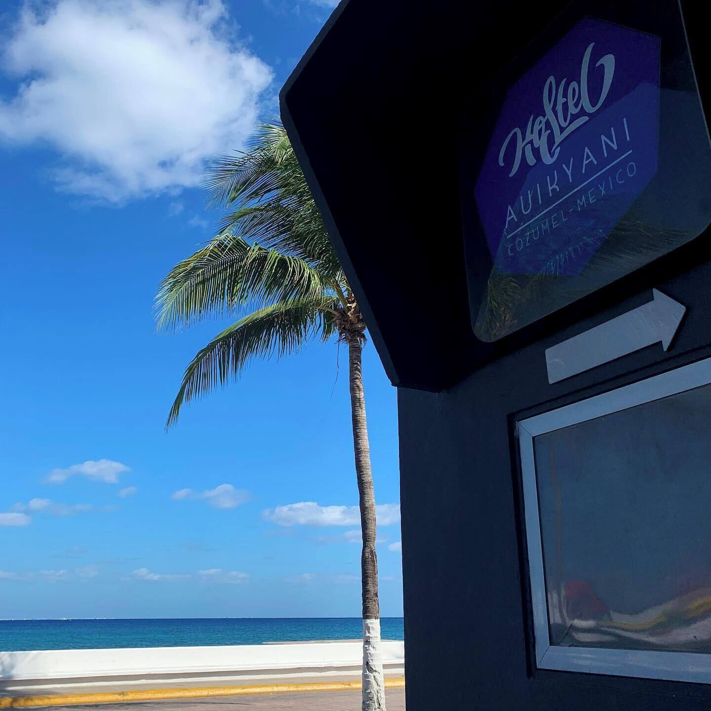 Ein klarer, blauer Himmel, eine Palme und ein Strand mit einem Schild für 'Aurelia Cancun-Mexico'.