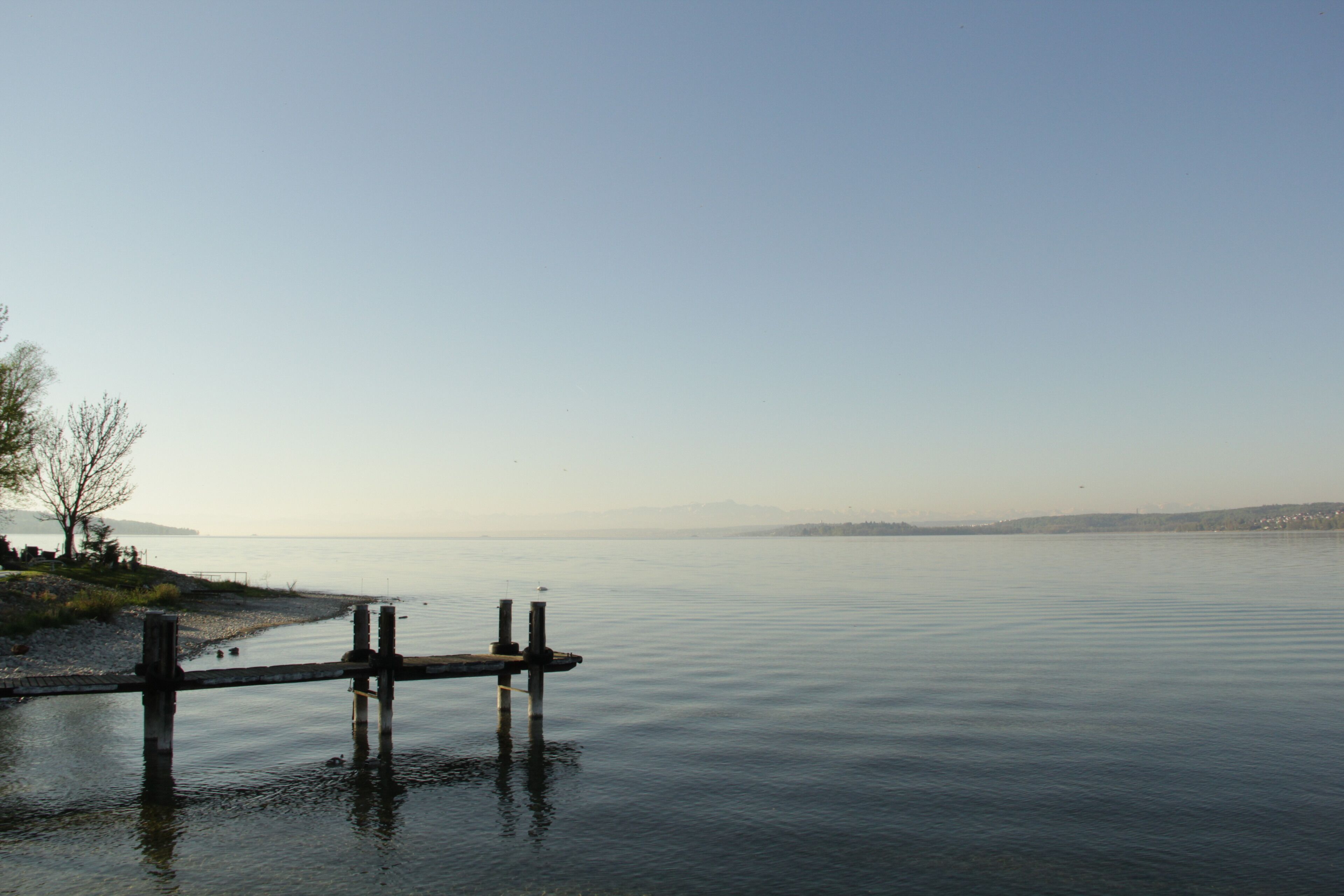 A calm lake with a wooden dock extending into the water.