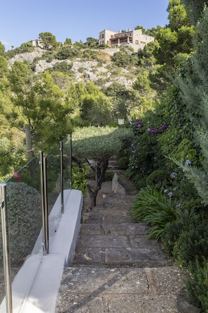 Property grounds - ****** Villa Valldemossa ****** (Valldemosa)