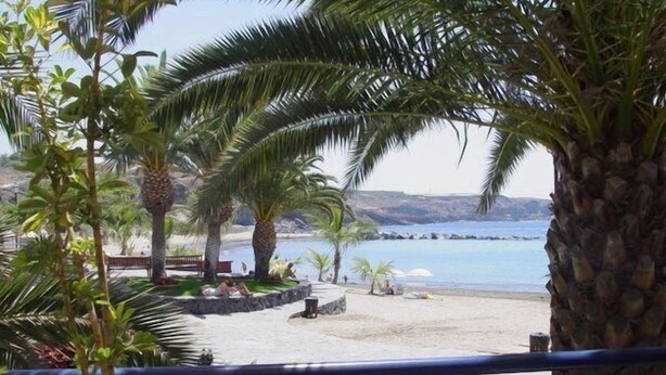 Blick auf einen Strand mit Palmen, einer Steinmauer und dem klaren, blauen Meer.