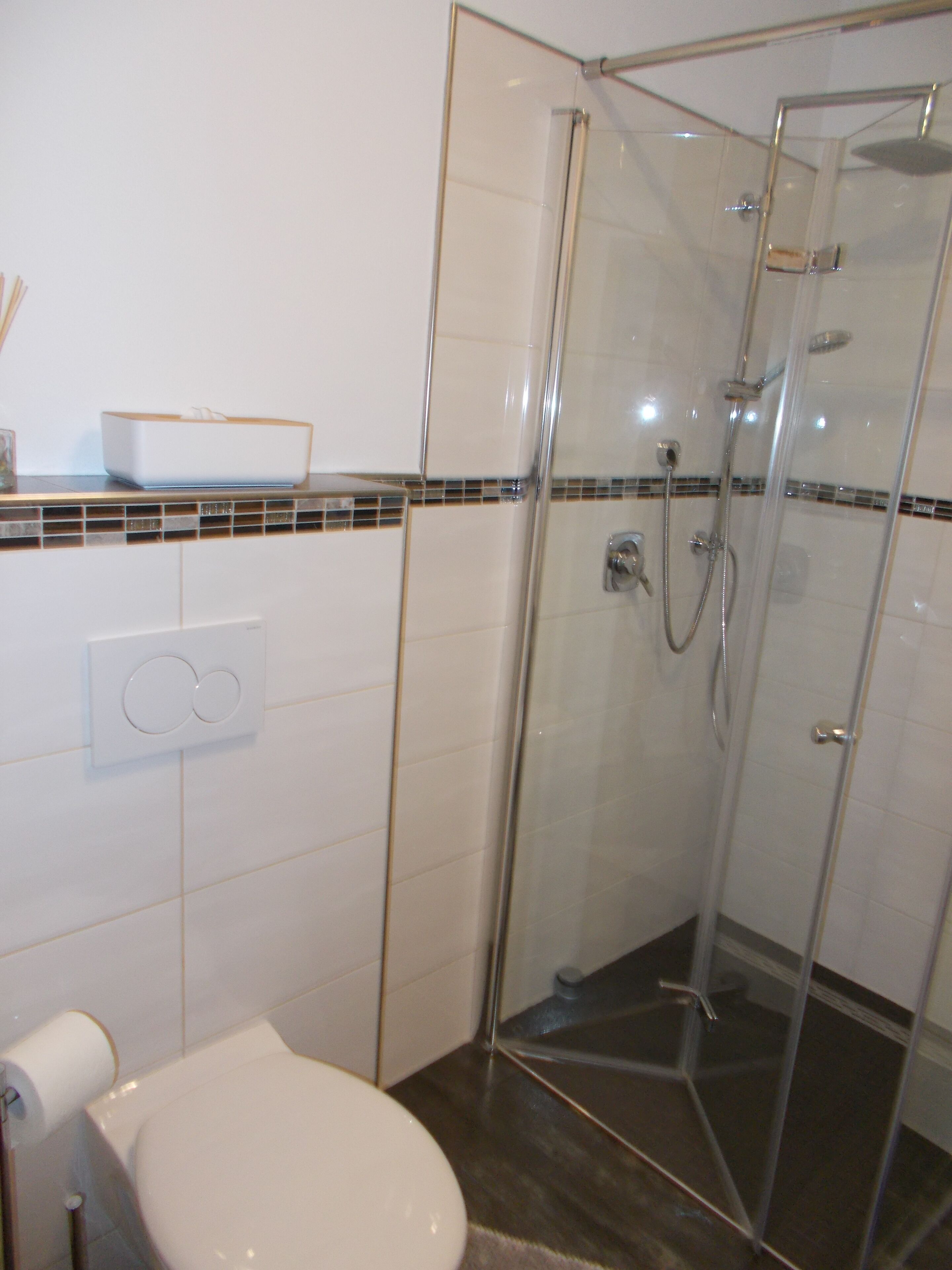A bathroom with a glass shower enclosure, a toilet, and a towel rack.