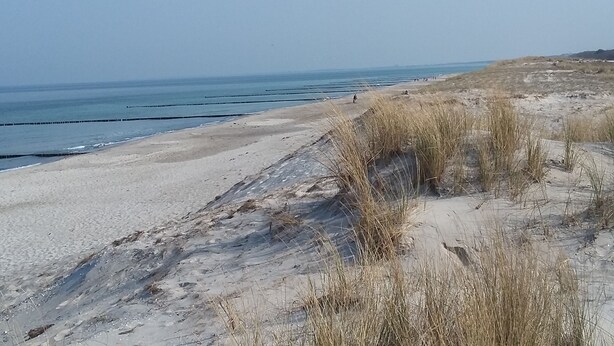 En sandstrand med klitter og en klar himmel.